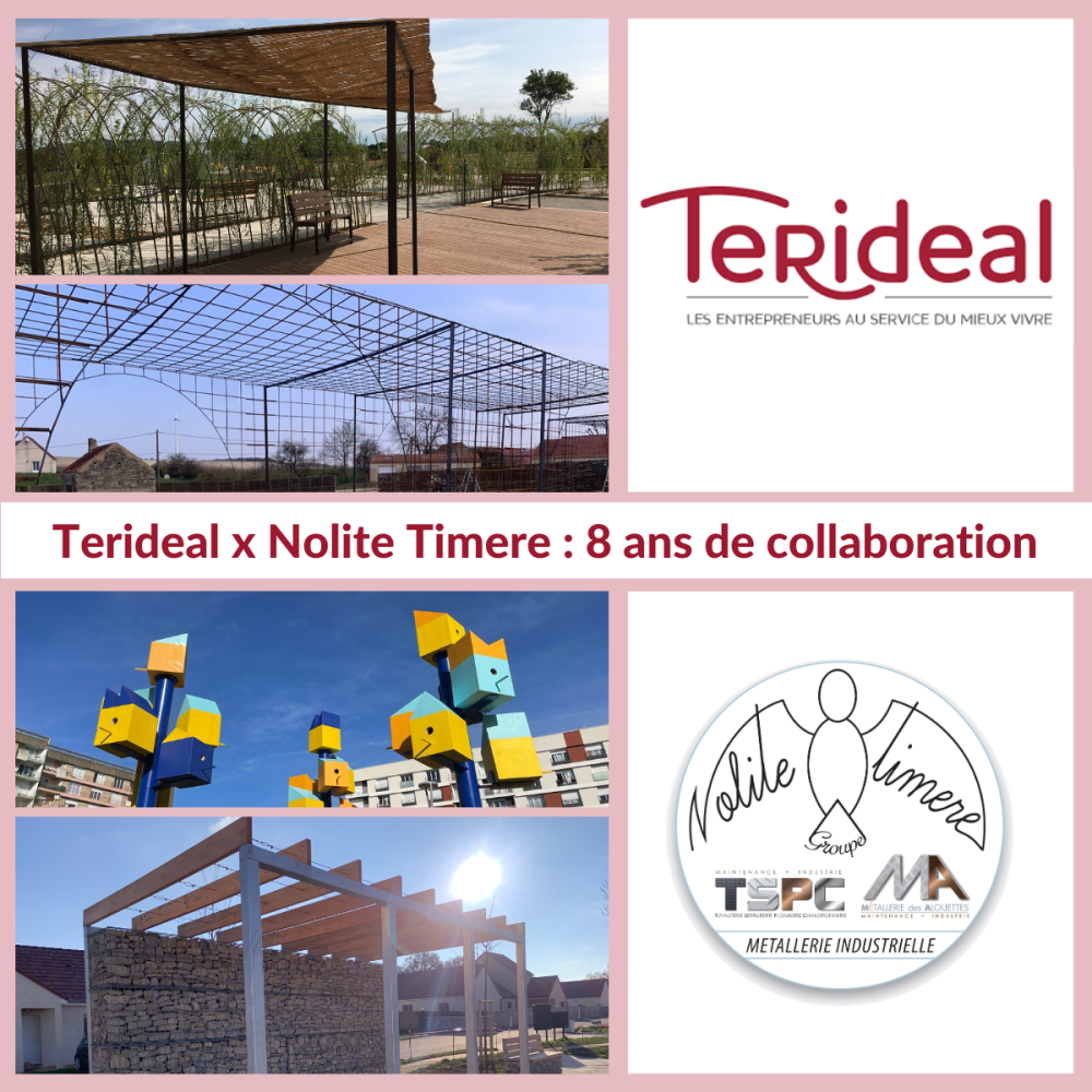 Témoignage client : Teridéal